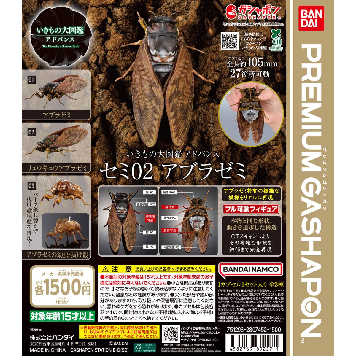生物大圖鑑 ADVANCE 蟬02 油蟬